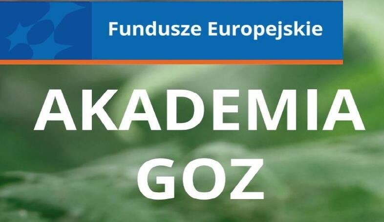 Spotkanie on-line poświęcone tematyce Gospodarki o Obiegu Zamkniętym (GOZ)